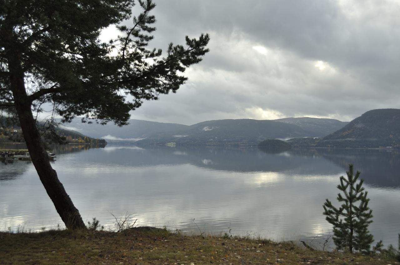 Bed & Breakfast Fyresdal 3*